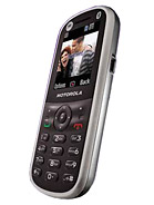 Best available price of Motorola WX288 in S54